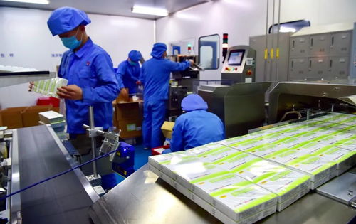 提振信心 石家莊兩家阿比多爾生產(chǎn)企業(yè)開足馬力生產(chǎn)