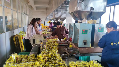 安徽休寧 抓訂單 忙生產 奮戰龍年 開門紅