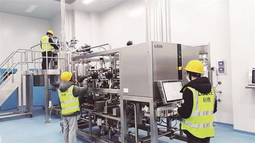 振興發展闖新路 看通化縣經濟高質量發展的生動實踐